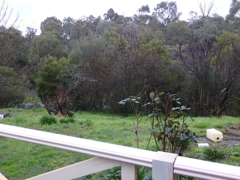 Mandall Avenue - Inverell Accommodation 1