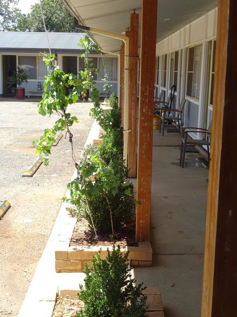 Memphis Motor Inn - Inverell Accommodation 3
