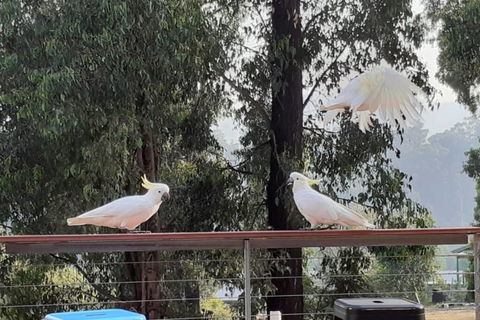 Merry Mary Casa - Inverell Accommodation 3