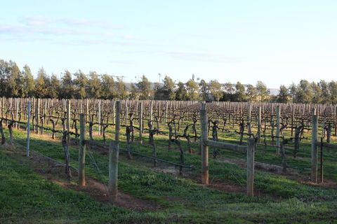 Milawa Vineyard Views - Guesthouse 2 - Inverell Accommodation 0