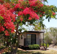 Mt Larcom Tourist Park - Inverell Accommodation