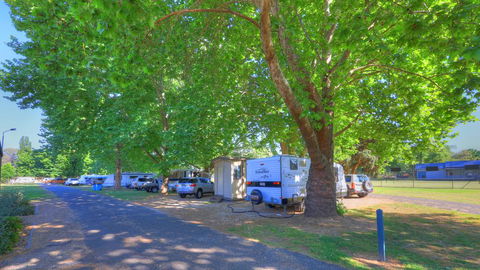 Myrtleford Holiday Park - Inverell Accommodation 1