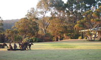 Book Walpole Accommodation Vacations Inverell Accommodation Inverell Accommodation