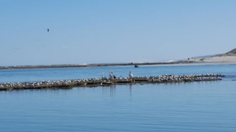 Kalbarri Seaview Villas - Inverell Accommodation 33