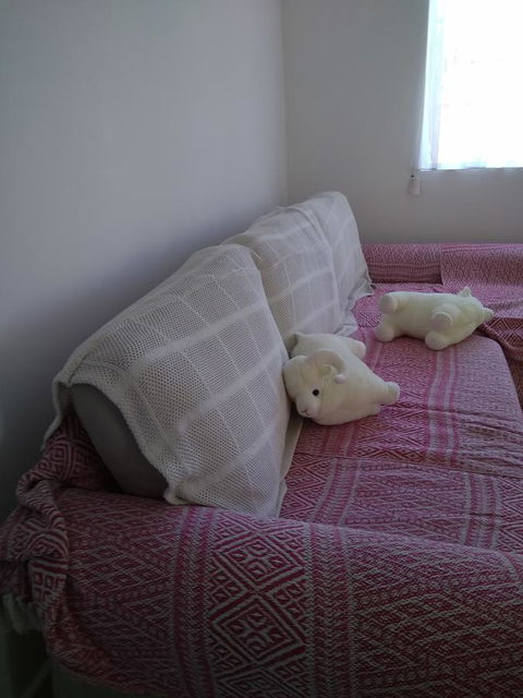 DIANELLA Budget Rooms Happy Place To Stay - Inverell Accommodation 29