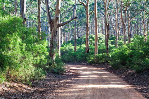 Margaret River Retreat - Inverell Accommodation 20