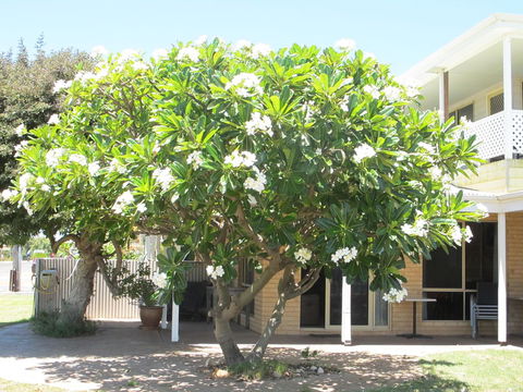 Kalbarri Riverfront Unit - Inverell Accommodation 6
