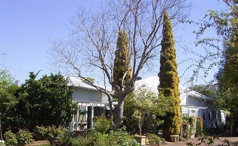 Jacaranda Guest House - Inverell Accommodation 37
