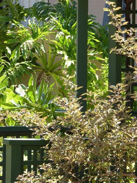 Kalbarri Beach Resort - Inverell Accommodation 32