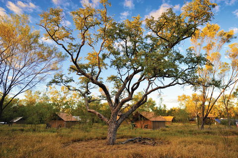 Bungle Bungle Wilderness Lodge - Inverell Accommodation 11