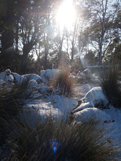 Erriba House - Inverell Accommodation 9
