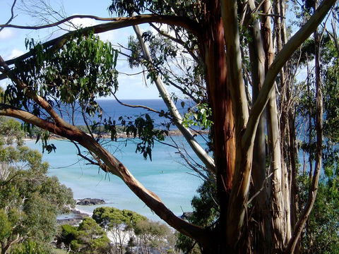 Seascape Beach House - Inverell Accommodation 8