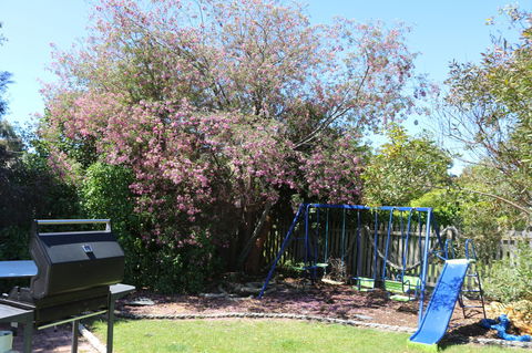 Sisters Beach Paradise - Inverell Accommodation 9