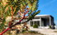 Aplite House - thumb 36