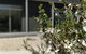 Aplite House - thumb 7