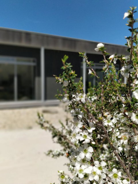 Aplite House - Inverell Accommodation 7