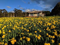 Book Golden Valley Accommodation Vacations Inverell Accommodation Inverell Accommodation
