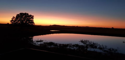 New Horizons Farm Stay - Inverell Accommodation 1