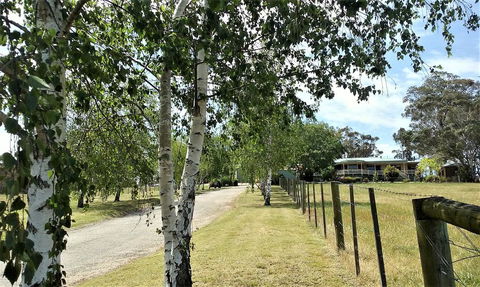 Nicholson BnB And Arts Centre - Inverell Accommodation 0