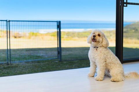 Ocean Paradise - Inverell Accommodation 2