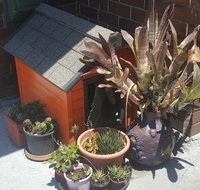 Orange Grove Hotel - Inverell Accommodation