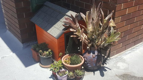 Orange Grove Hotel - Inverell Accommodation 0