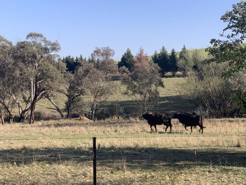 OConnell Retreat BnB - Inverell Accommodation 1