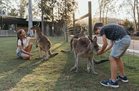 Paradise Country Farmstay - Inverell Accommodation 1