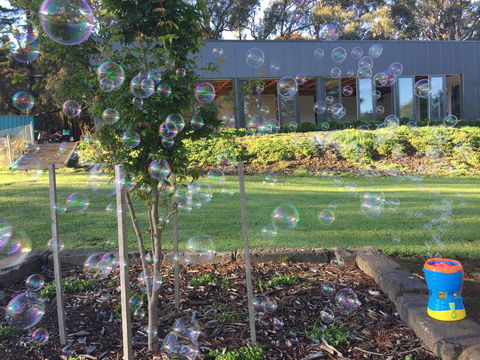 Paradiso Kinglake - Inverell Accommodation 1