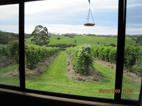 Pennyroyal Raspberry Farm & Cidery - Inverell Accommodation 0