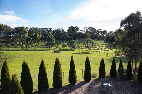 Phoenix - Inverell Accommodation 3