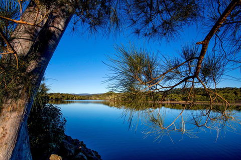 Reflections Holiday Parks Ferry Reserve - Inverell Accommodation 3