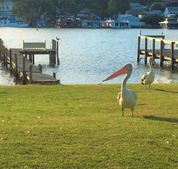 Riverfront Getaway - Mannum - Inverell Accommodation