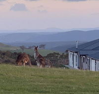 Rooks Edge - Inverell Accommodation