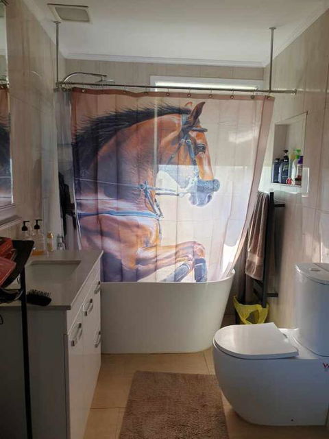 Silverbirch Cottage - Inverell Accommodation 3
