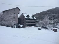 Book Falls Creek Accommodation Vacations Inverell Accommodation Inverell Accommodation