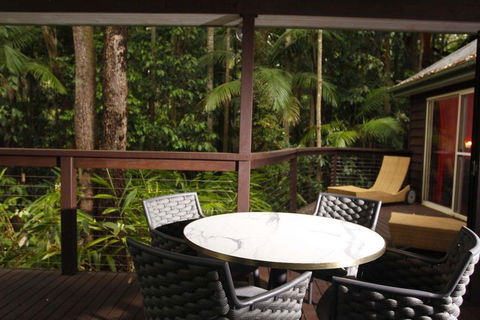 Songbirds Rainforest Retreat - Inverell Accommodation 1