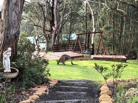 Southern Anchorage Retreat - Inverell Accommodation 3
