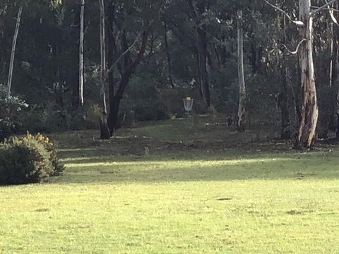 Spa Suite In Stephanies Homestead - Inverell Accommodation 2