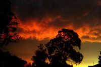 Book Thulimbah Accommodation Vacations Inverell Accommodation Inverell Accommodation