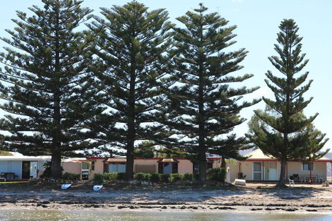 Tall Pines Beach House At Mount Dutton Bay (part Of Coffin Bay Waterways) - Inverell Accommodation 1