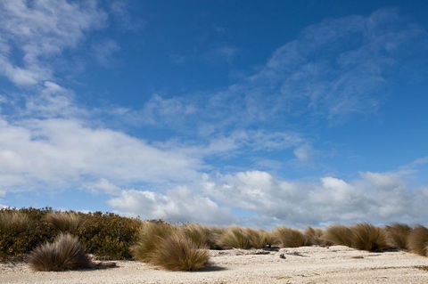 Pearl Hawley Beach - Inverell Accommodation 37