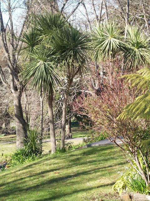 Lucinda B&B - Inverell Accommodation 23