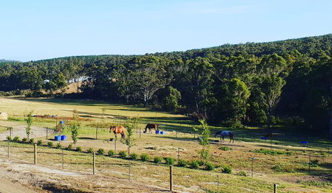 Lockleigh Park - Inverell Accommodation 19