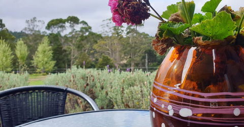 Lockleigh Park - Inverell Accommodation 22