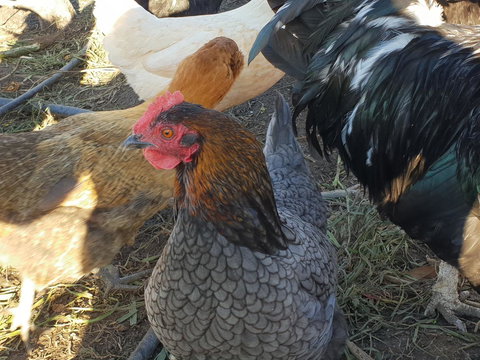 Lockleigh Park - Inverell Accommodation 27