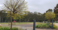 Book Lebrina Accommodation Vacations Inverell Accommodation Inverell Accommodation