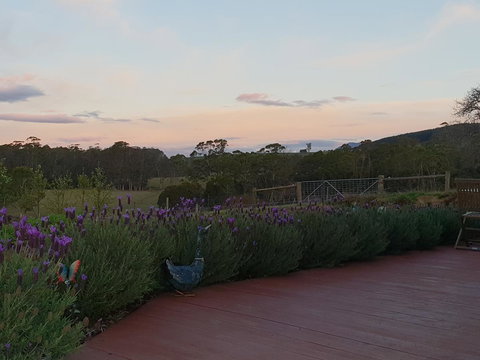 Lockleigh Park - Inverell Accommodation 23