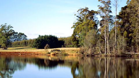 Buttons Cottage For Canyon & Rain Forest Walks With In House Dining - Inverell Accommodation 29