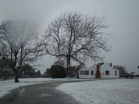 Buttons Cottage For Canyon & Rain Forest Walks With In House Dining - Inverell Accommodation 11